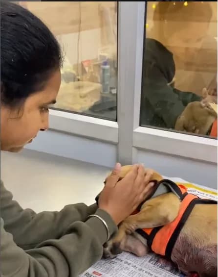 Kanwaljeet Kaur, Founder of Helping Hands for Speechless Souls
